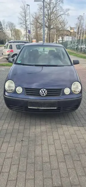 Volkswagen Polo Basis Bild 2