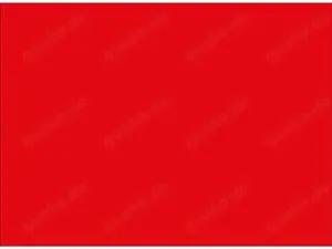 CUPRA Leon 2.0 TSI DSG VZ Facelift ab 369EUR mtl.