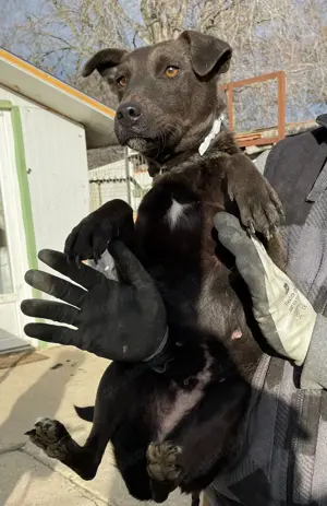 Malin, z.Z. in Ungarn, ist ein sympathisches Mädchen Bild 8