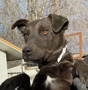 Malin, z.Z. in Ungarn, ist ein sympathisches Mädchen Bild 7