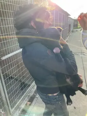 Malin, z.Z. in Ungarn, ist ein sympathisches Mädchen Bild 10