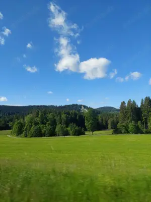 Träume nicht dein Leben sondern lebe deine Träume