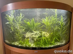 Juwel Aquarium 