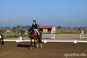 Suche Reitbeteiligung 