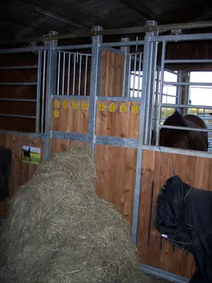 Paddockboxen - Pferdeboxen - Box für Pferde - Pferdestall frei! Bild 2