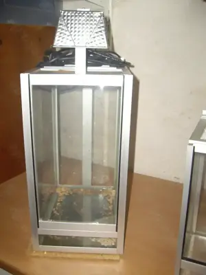 Terrarium. Geeignet als Trockenterrarium.