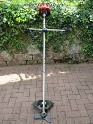 Motorsense Sense Hochgrasmäher Freischneider Heu !!MIETEN!!