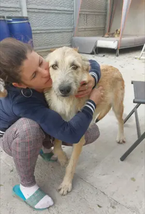 Dave, 3, 5 Jahre, 55 cm, lauffreudig,  verspielt  Bild 3
