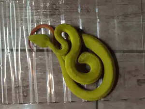 Trimeresurus,  Atheris , Bothriechis 