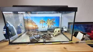 105l Aquarium mit wenig Deko und Pumpe 