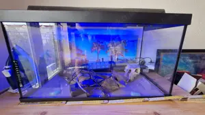 105l Aquarium mit wenig Deko und Pumpe  Bild 3