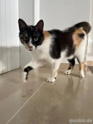 Anastasia sucht ihr ,,Für immer zuhause" 