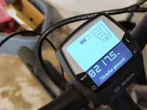 Pegasus Premium Evo 10 Lite-2022-45 Damen e Bike