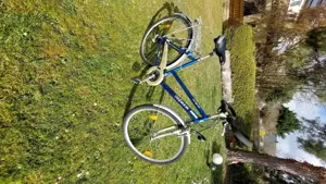 Damenrad, Alurex, blau