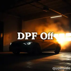 Chiptuning und Softwareoptimierungsservice Agr DPF AGR EGR OPF