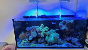 Aquarium Red Sea Reefer 350L G1