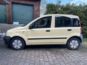 Fiat Panda 4x4 169