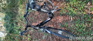 Damen E-bike Curtis 28Zoll 36v 10Ah 250-Watt-Motor 