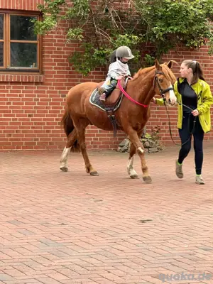 pony reiten 
