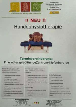 Hundephysiotherapie