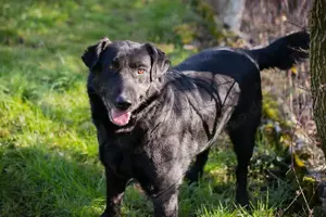 *INGMAR* - nett, menschenbezogen, sozial und er lernt gerne