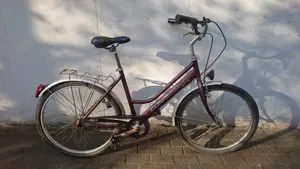 Damenfahrrad (26 Zoll) 