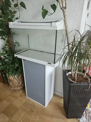 Aquarium Tertra 60l mit Unterschrank Bild 6