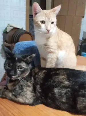 Bonny und Nara (ALO)