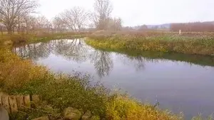 WE-Grundstück an der Unstrut   Tierhaltung   Lager ++   