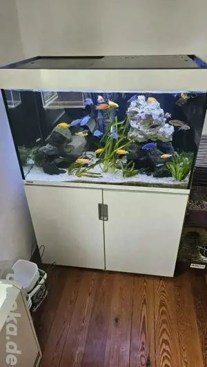 Eheim Incpiria 300 | Aquarium Komplettset