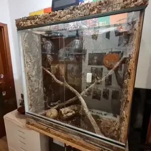 Glasterrarium mit oder ohne Unterschrank