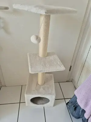 Kratzbaum Katzen 