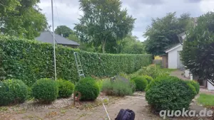Hausmeisterservice mit Herz & Hand   Zuverlässig & Flexibel!
