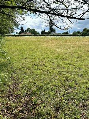 Biete Fohlenstellplatz  Jungpferde Stellplatz 