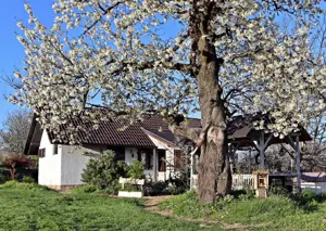 Haus in Ungarn Komitat Zala Plattensee 40 Minuten, Panoramablick auf kroatische Berge 