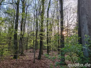Braucht jemand Hilfe in seinem Esoterik- oder Gothic- oder Second-Hand-Laden?