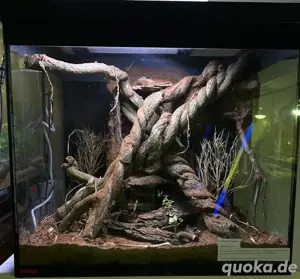 !Terrarien Rückwand Gestaltung ! Bild 2