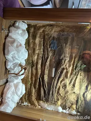 !Terrarien Rückwand Gestaltung ! Bild 4