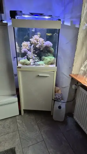 Komplettes Meerwasseraquarium mit ALLEM was man braucht