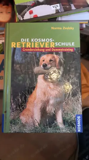 Die Kosmos-Retrieverschule Grunderziehung und Dummytraining