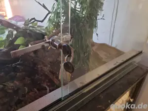 hochwertiges Terrarium 100x50x50