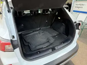 Ford Kuga Plug-In Hybrid Titanium X Bild 2