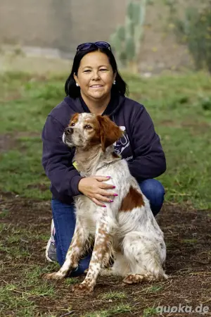 Canelo   treuer Seelenhund sucht einfühlsame Menschen Bild 4