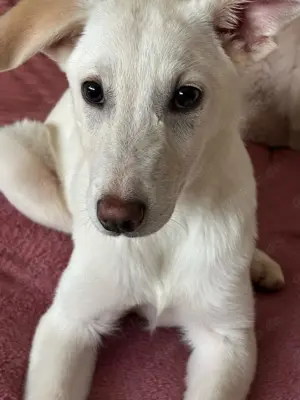 Unser Sonnenschein Cindy sucht ihre Familie fürs Leben