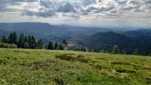 Bin auf der suche nach Männer, Paare und Frauen die es lieben Nackt in der natur zu sein   Bild 5