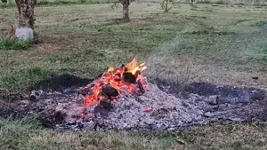 Bin auf der suche nach Männer, Paare und Frauen die es lieben Nackt in der natur zu sein   Bild 2