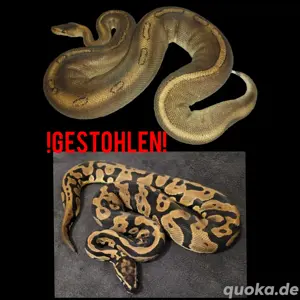 Achtung Gestohlen!