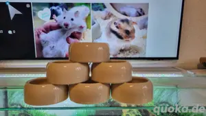 Nagarien und Zubehör für Hamster Bild 4