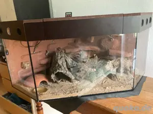 Terrarium 