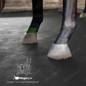 Stallmatten für Pferde kaufen - Boxenmatten & Schutzmatte | Pferdematten zu Top-Preisen